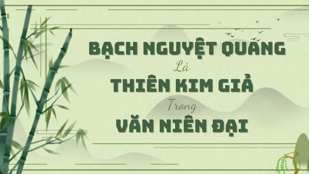 review-bach-nguyet-quang-la-thien-kim-gia-trong-van-nien-dai