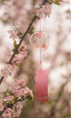 Truyện Xuân Tình Vạn Dặm