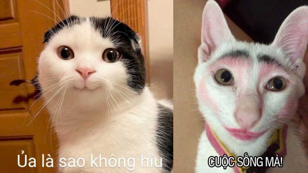 Truyện Chữa Khỏi Bệnh Yêu Đương Mù Quáng