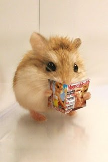 Truyện Mạt Thế Hamster Giàu Chảy Mỡ