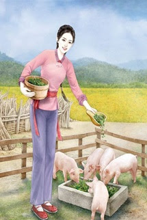 Thập Niên 60 Nữ Thanh Niên Tri Thức Mang Theo Chục Tỷ Vật Tư Xuống Nông Thôn