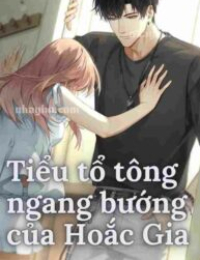 Truyện Tiểu Tổ Tông Ngang Bướng Của Hoắc Gia
